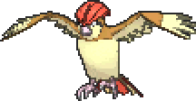 Pidgeotto