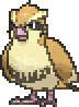 Pidgey